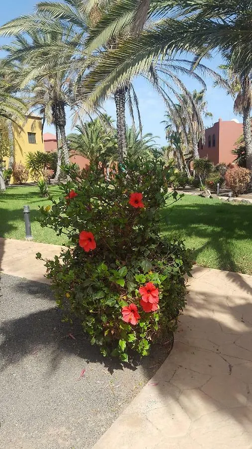 公寓 Appartamento Spagnolo Oasis Tamarindo 科拉雷侯 西班牙